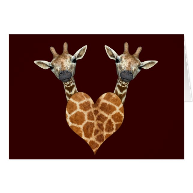Zwei schöne Giraffen (Vorderseite (Horizontal))