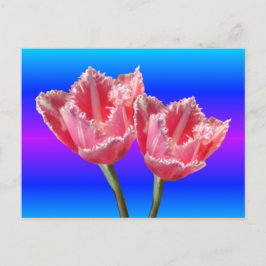 Zwei schöne Pink Tulips Blue BG DIY Postkarte