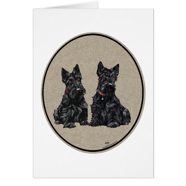 Zwei schottische Terrier (Vorne)