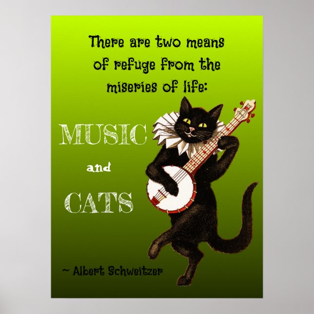 Zwei Schutzmittel Musik Katzen Schweitzer Poster (Vorne)