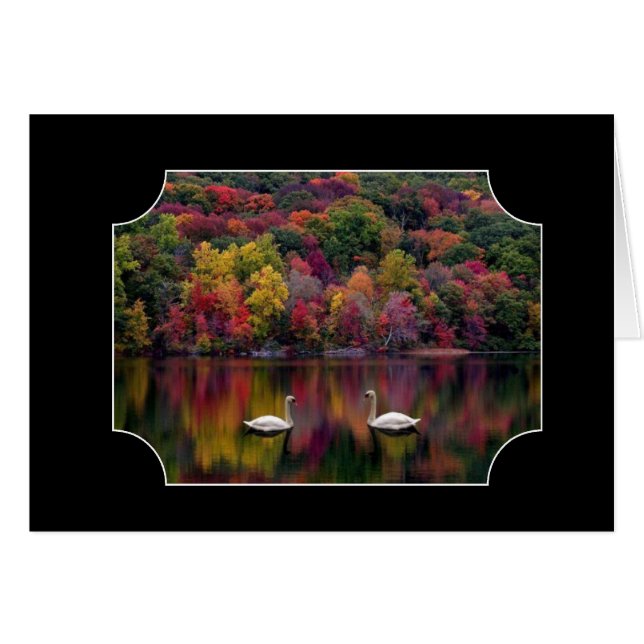 Zwei Schwäne (Vorderseite (Horizontal))