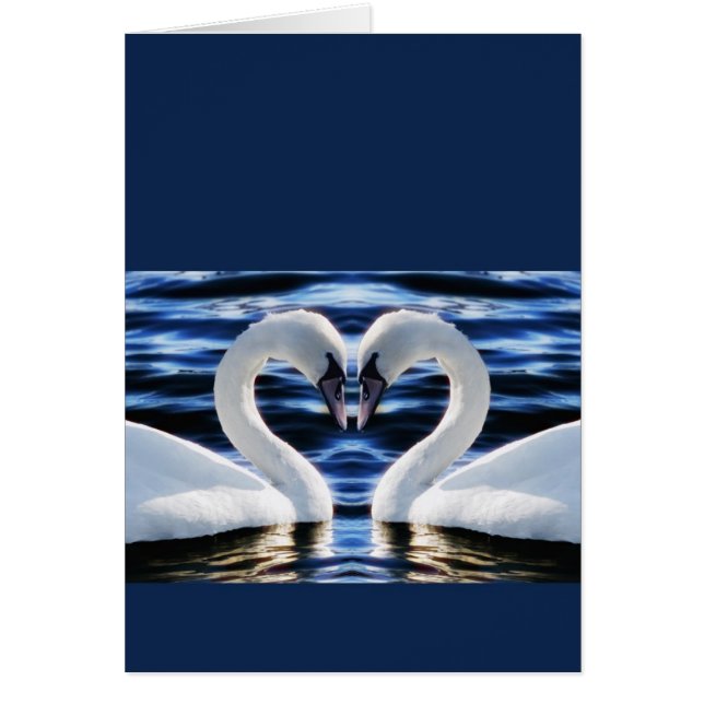 Zwei Schwäne (Vorne)