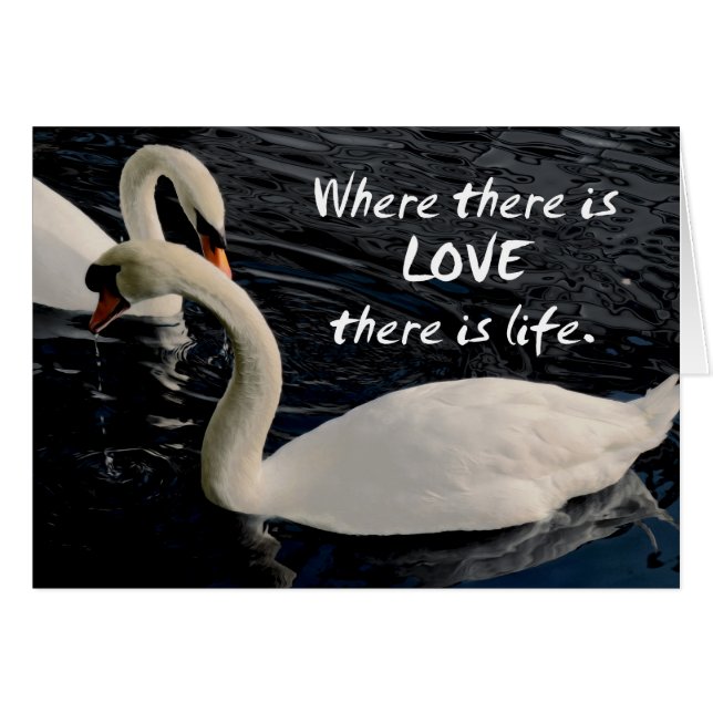 Zwei Schwäne am See (Vorderseite (Horizontal))