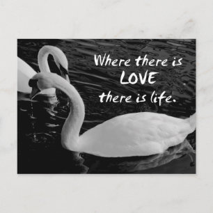 Zwei Schwäne am See Postkarte