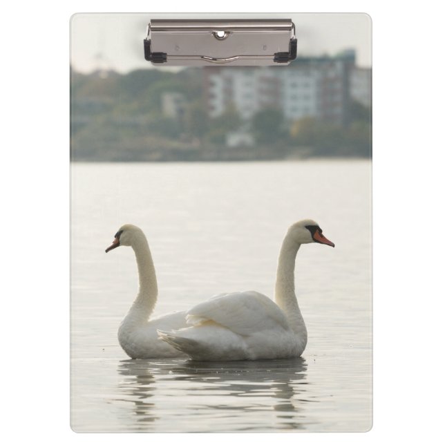 Zwei Schwäne Klemmbrett (Vorderseite)