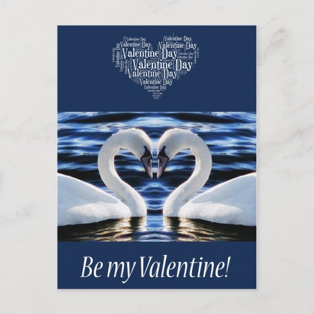 Zwei Schwäne Postkarte (Vorderseite)