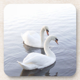 Zwei Schwäne schwimmen auf einem ruhigen See Getränkeuntersetzer