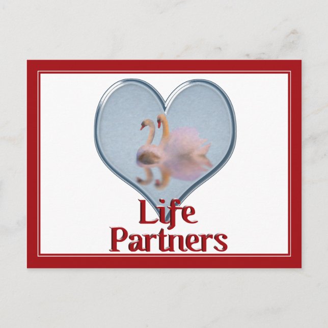 Zwei Schwäne schwimmen mit dem Text "Life Partners Postkarte (Vorderseite)