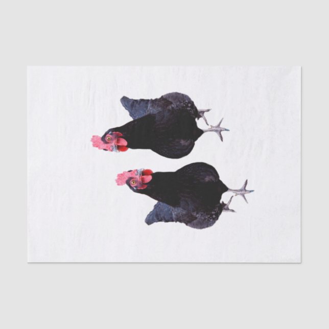 Zwei schwarze Hühner, Seidenpapier (Vorderseite)