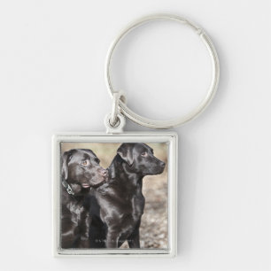 Zwei schwarze Labrador-Retriever Schlüsselanhänger
