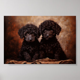 Zwei schwarze Poodle-Welpen Poster
