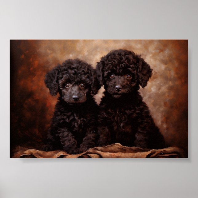 Zwei schwarze Poodle-Welpen Poster (Vorne)