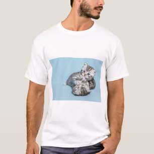 Zwei schwarze Silbertabby-Kätzchen spielen zusamm T-Shirt