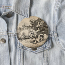 Zwei Schweine, die in Strohhalm in einem Außengebl