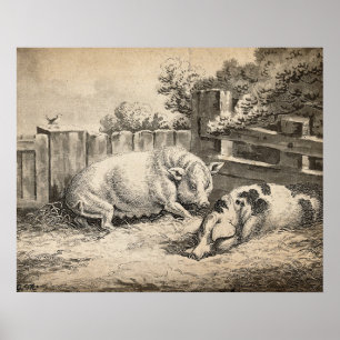 Zwei Schweine, die in Strohhalm in einem Außengebl Poster