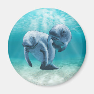 Zwei Schwimmbecken Magnet