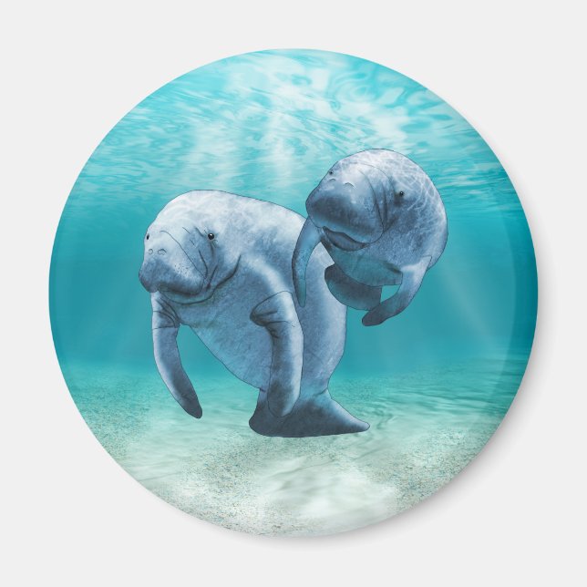 Zwei Schwimmbecken Magnet (Vorne)