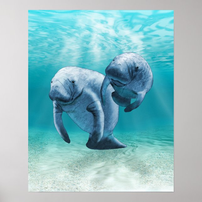 Zwei Schwimmbecken Poster (Vorne)