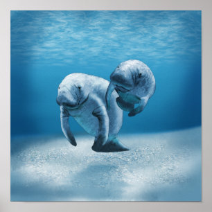 Zwei Schwimmbecken Poster