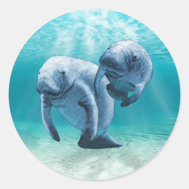 Zwei Schwimmbecken Runder Aufkleber (Vorderseite)
