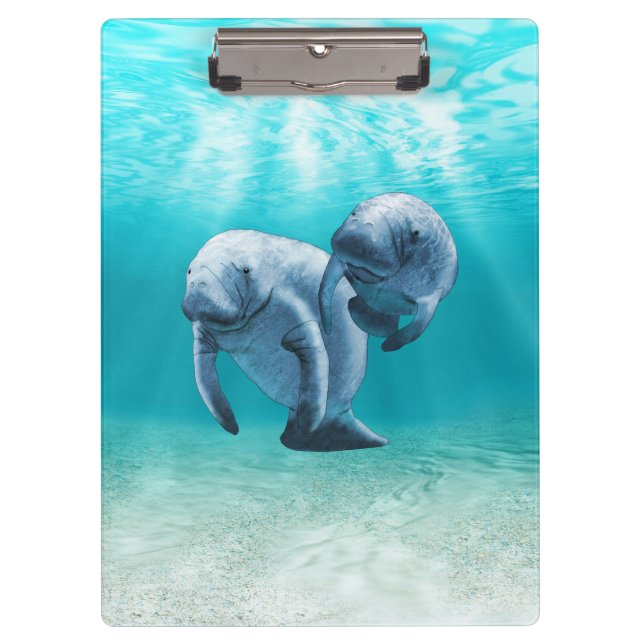 Zwei schwimmende Manatis Klemmbrett (Vorderseite)