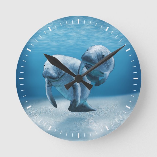 Zwei schwimmende Manatis Runde Wanduhr (Vorderseite)