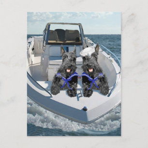 Zwei Scotties auf dem Boot Postkarte