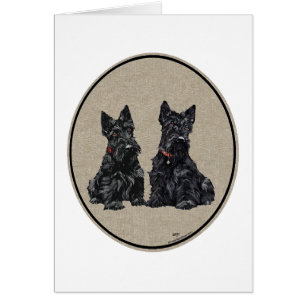 Zwei Scottish Terrier