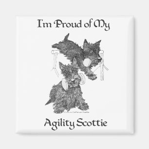 Zwei Scottish Terrier Agility Magnet