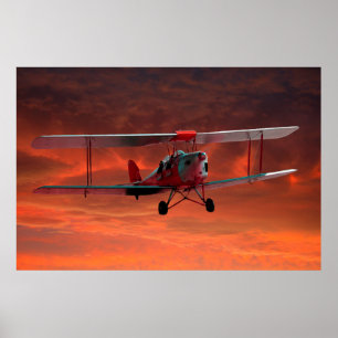 Zwei seater Tigermoth Poster