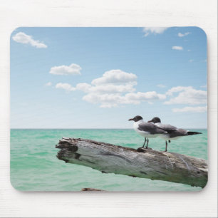 Zwei Seemöwen, die auf einem toten Baum heraus Mousepad