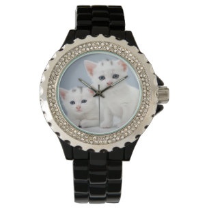 Zwei sehr junge weiße Kätzchen starren neugierig Armbanduhr