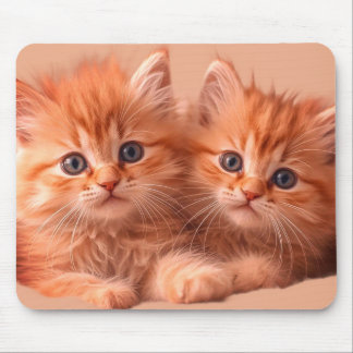 Zwei sehr niedliche Kätzchen auf einem Laptop-Desk Mousepad