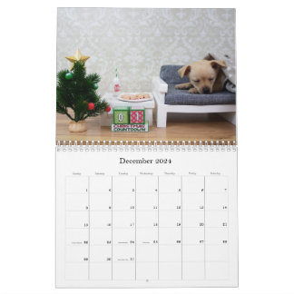 Zwei Seiten MediumKalender, weiß Kalender