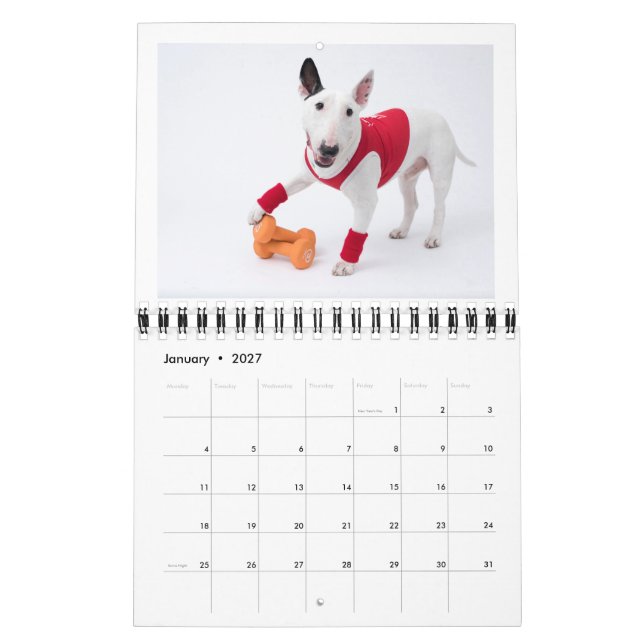 Zwei Seiten MediumKalender, weiß Kalender (Jan 2027)