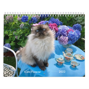 Zwei Seiten MediumKalender, weißer Kalender