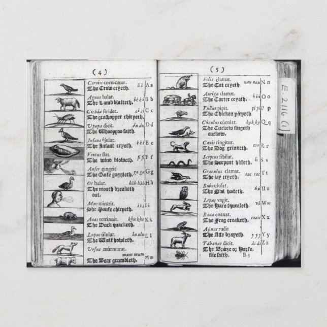 Zwei Seiten von "Orbis Sensualium Pictus" Postkarte (Vorderseite)