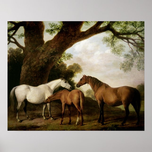 Zwei Shafto Mares und ein Foal, 1774 Poster (Vorne)