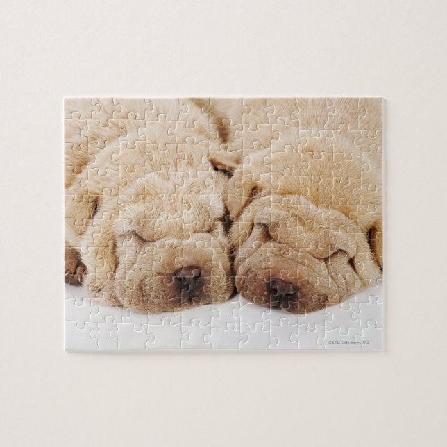Zwei Shar Pei Welpen schlafen (Horizontal)