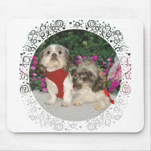 Zwei Shih Tzus in einem Garten Mousepad