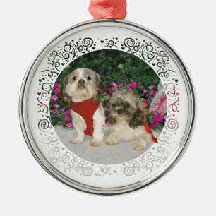 Zwei Shih Tzus in einem Garten Silbernes Ornament