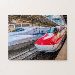 Zwei Shinkansen am Bahnhof Tokio