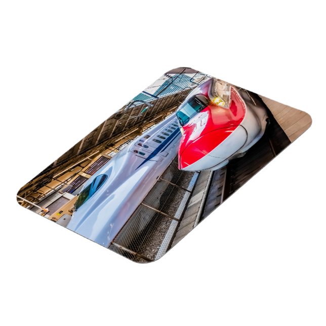 Zwei Shinkansen am Bahnhof Tokio Magnet (Linke Seite)