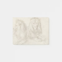 Zwei sitzende Löwen Albrecht Durer