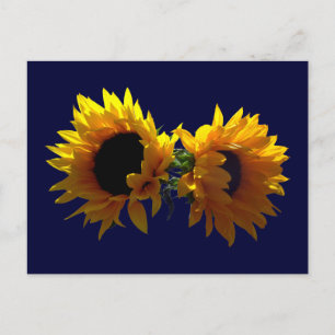 Zwei Sonnenblumen Postkarte
