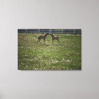 Zwei Spalten im Feld