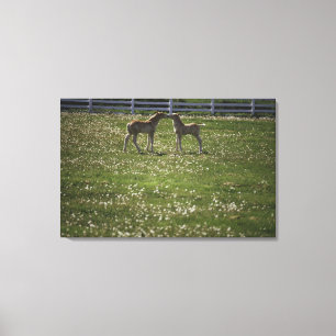 Zwei Spalten im Feld Leinwanddruck