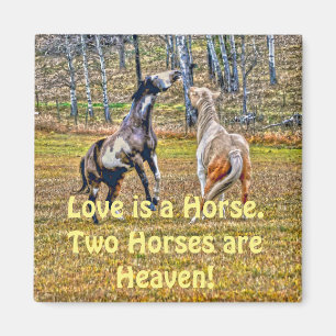 Zwei spielerische Pinto Paint Horses Equine Art De Magnet