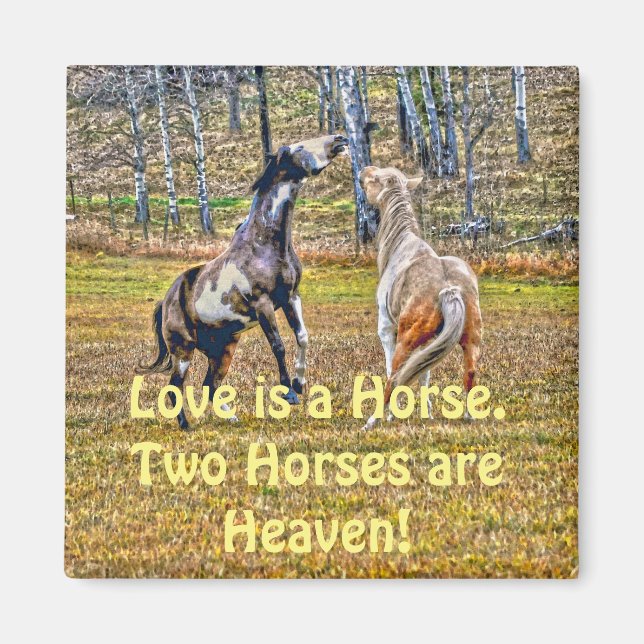 Zwei spielerische Pinto Paint Horses Equine Art De Magnet (Vorne)