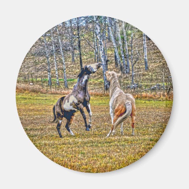 Zwei spielerische Pinto Paint Horses Equine Art De Magnet (Vorne)
